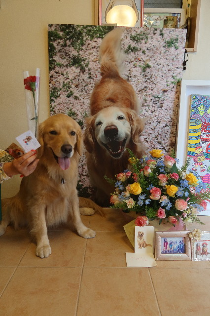 ファイル 7610-2.jpg