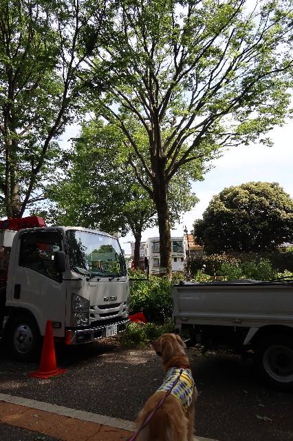 ファイル 7617-2.jpg