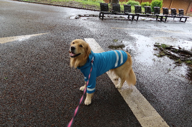 ファイル 7618-3.jpg