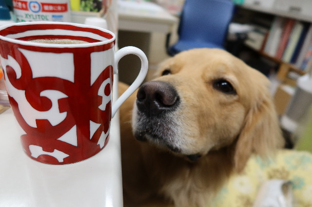 ファイル 7619-5.jpg