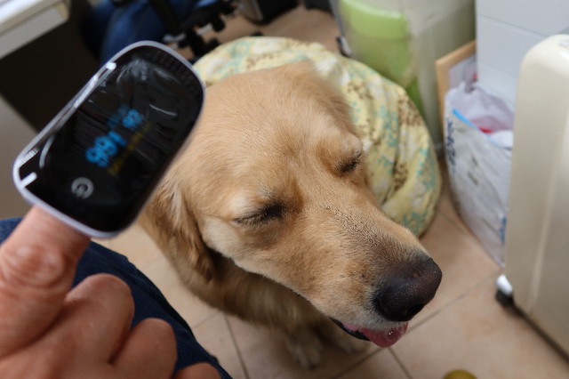 ファイル 7620-1.jpg