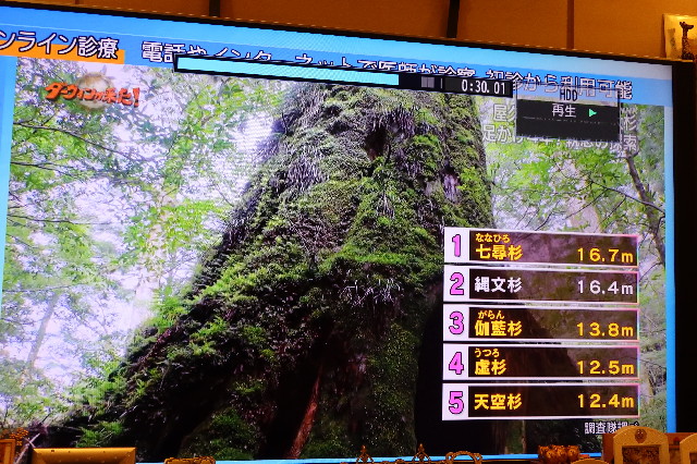 ファイル 7622-5.jpg