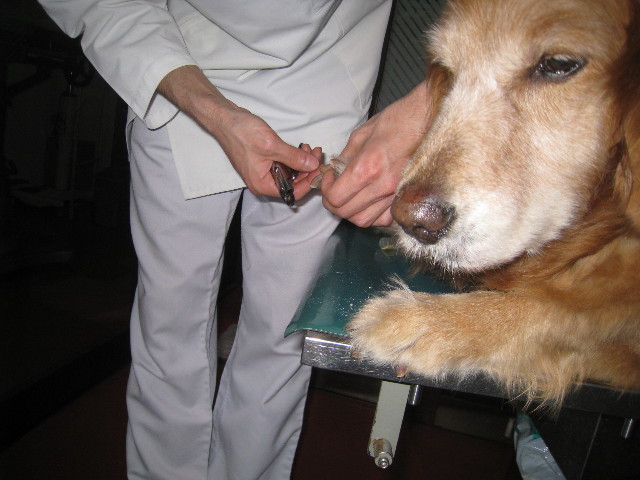 ファイル 763-1.jpg