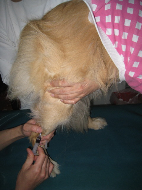 ファイル 763-3.jpg