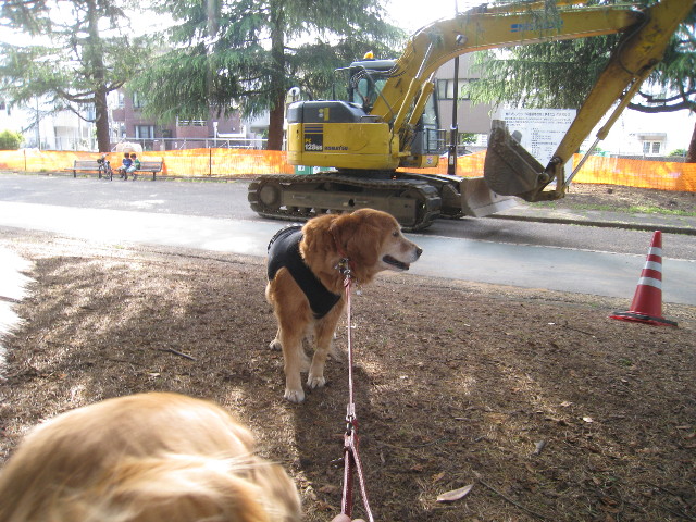 ファイル 763-4.jpg