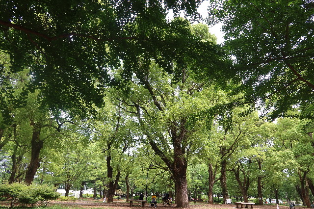 ファイル 7630-2.jpg