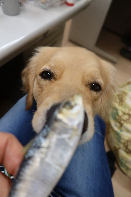 ファイル 7631-1.jpg