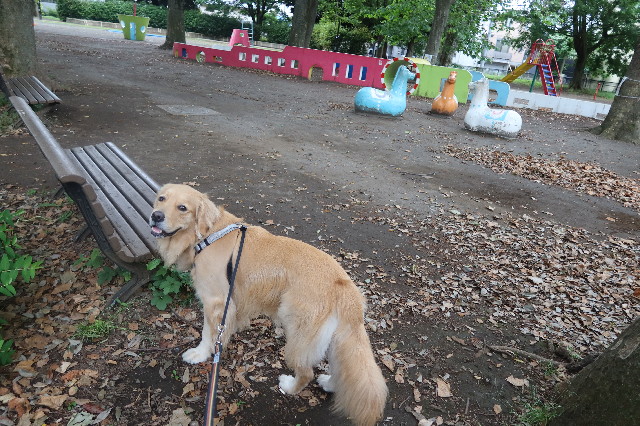 ファイル 7632-1.jpg