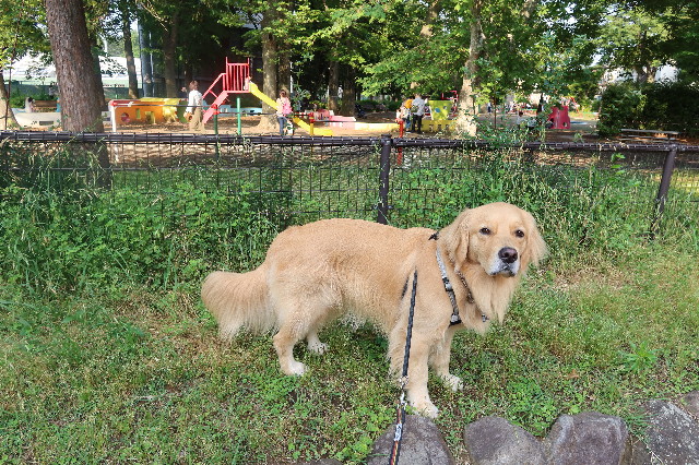 ファイル 7633-1.jpg