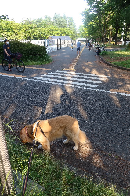 ファイル 7633-3.jpg