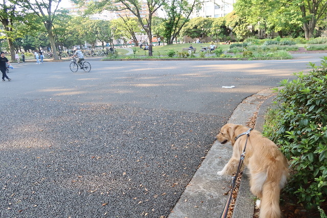 ファイル 7633-4.jpg