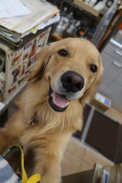 ファイル 7637-3.jpg