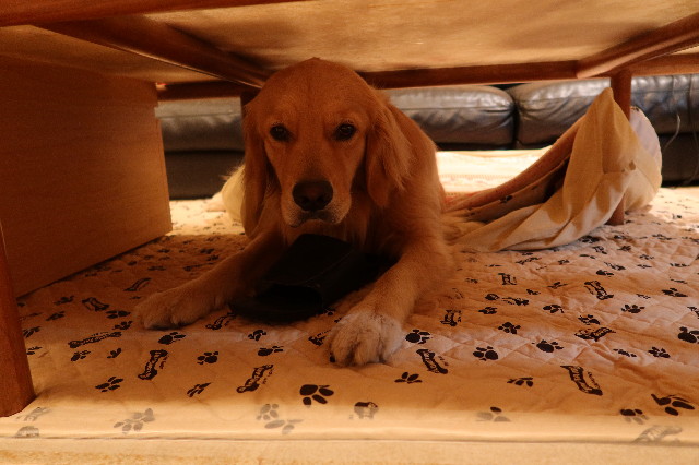 ファイル 7637-5.jpg