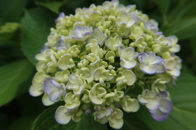 ファイル 7638-4.jpg