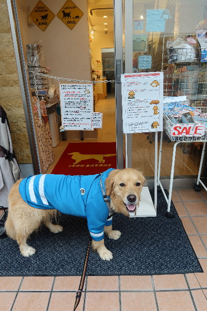 ファイル 7639-1.jpg