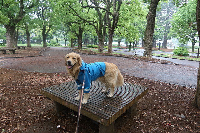 ファイル 7639-4.jpg