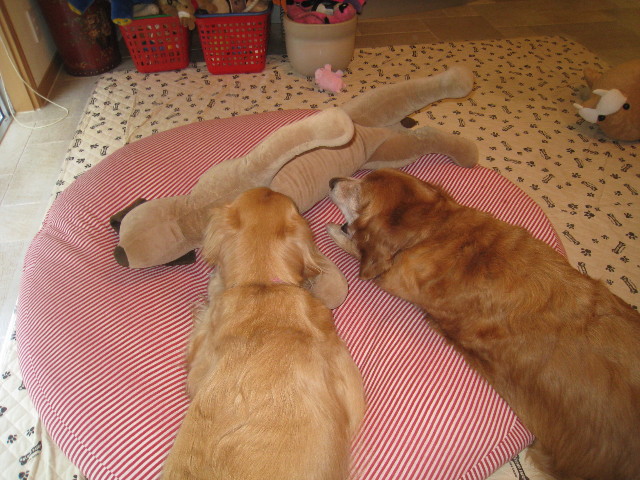 ファイル 764-1.jpg