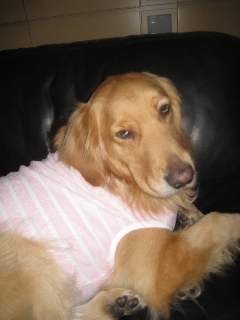 ファイル 764-3.jpg