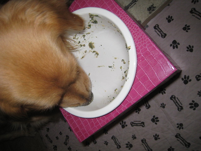 ファイル 764-5.jpg