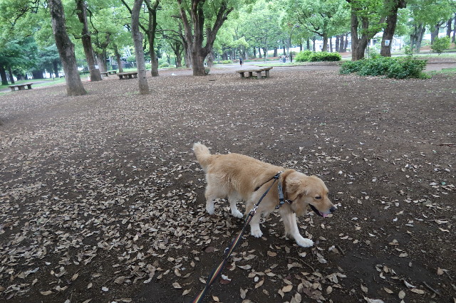 ファイル 7642-1.jpg