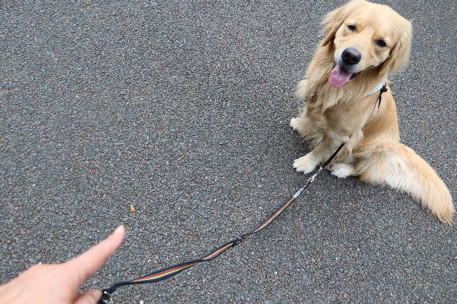 ファイル 7642-2.jpg