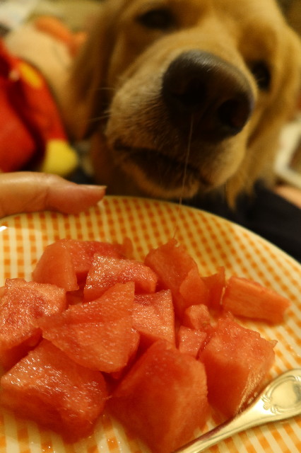 ファイル 7643-1.jpg