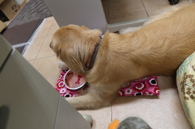 ファイル 7643-3.jpg