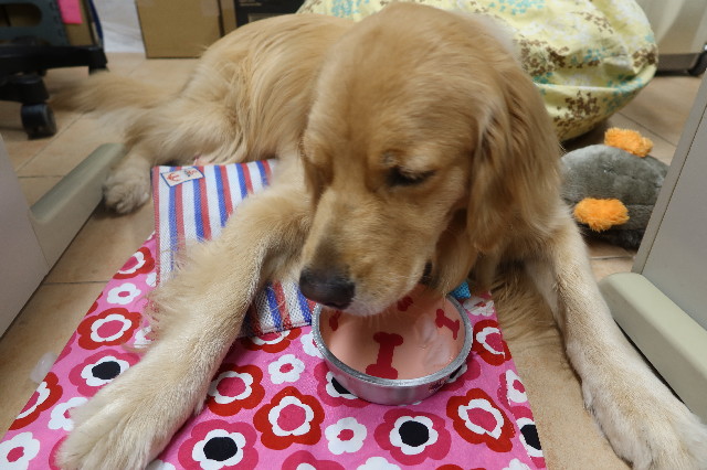 ファイル 7643-4.jpg