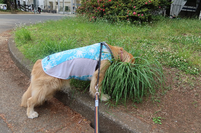 ファイル 7643-5.jpg