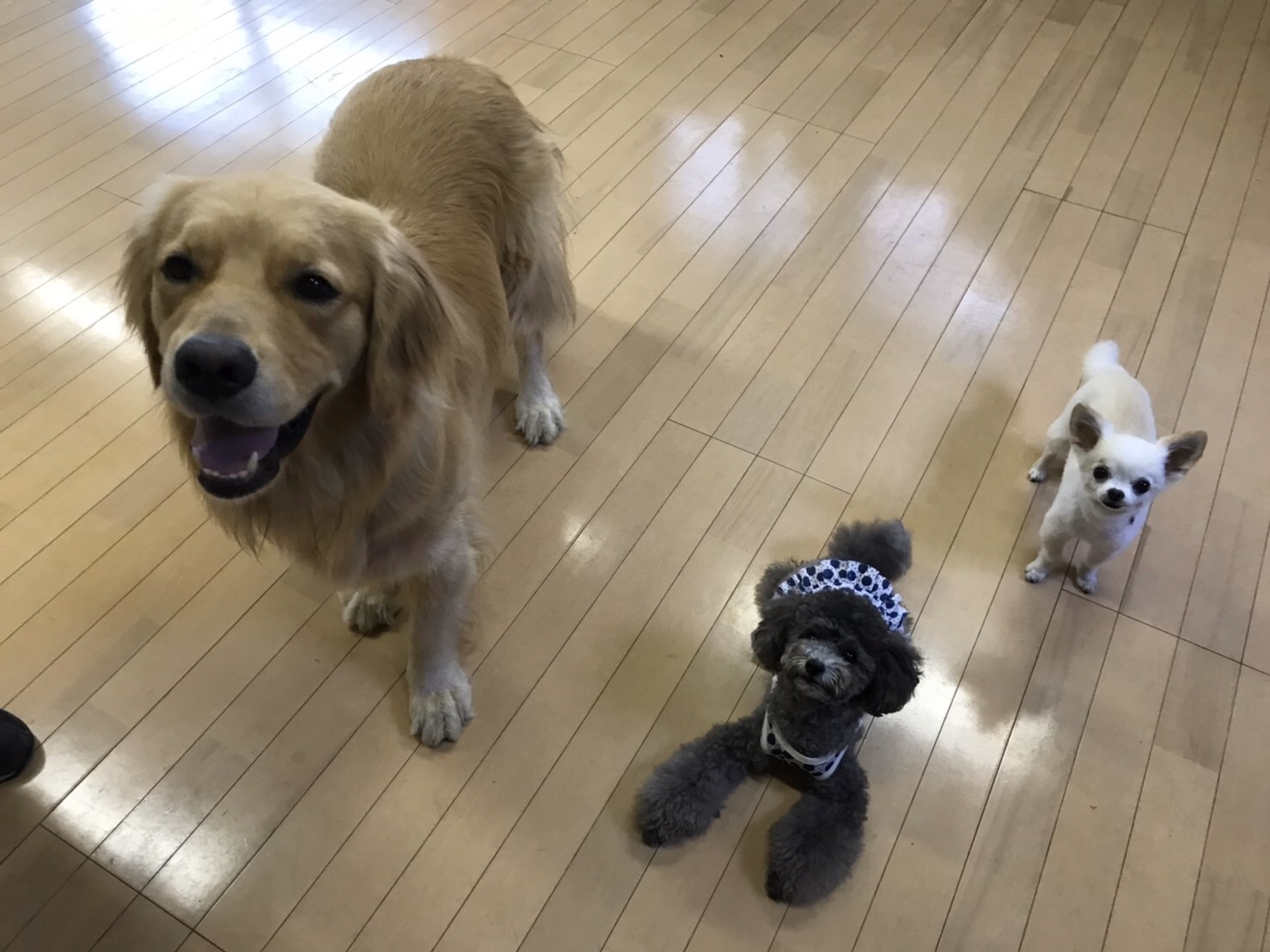 ファイル 7644-5.jpg