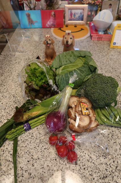 ファイル 7647-1.jpg