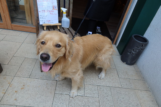 ファイル 7647-3.jpg