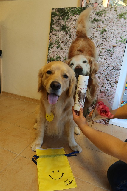 ファイル 7648-1.jpg