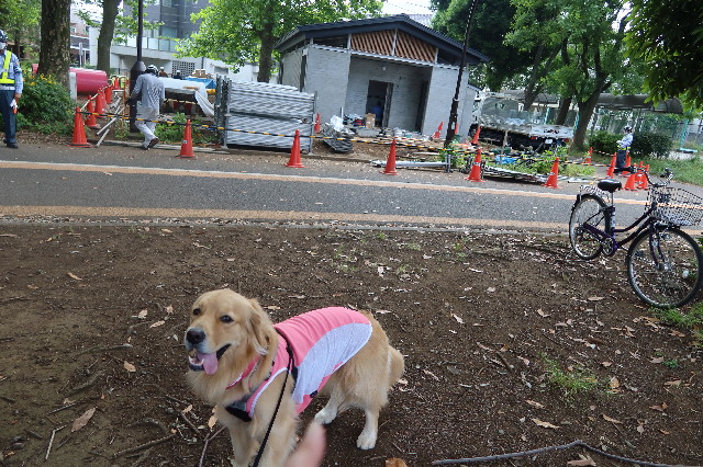 ファイル 7648-3.jpg