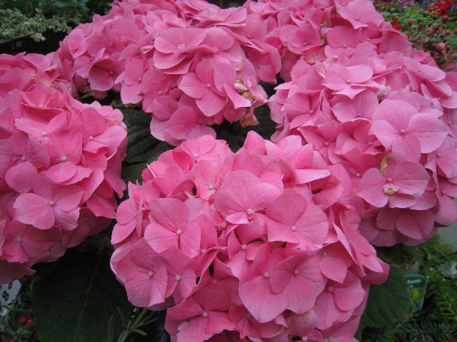 ファイル 765-4.jpg