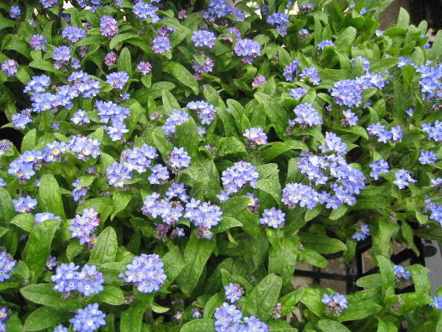 ファイル 765-5.jpg