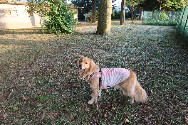 ファイル 7650-5.jpg