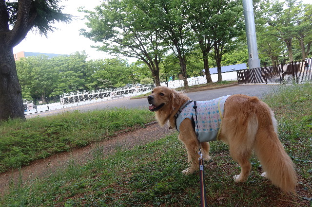 ファイル 7651-2.jpg