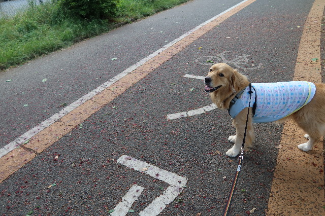 ファイル 7651-3.jpg