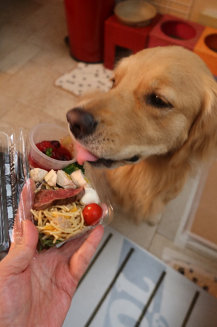 ファイル 7651-5.jpg