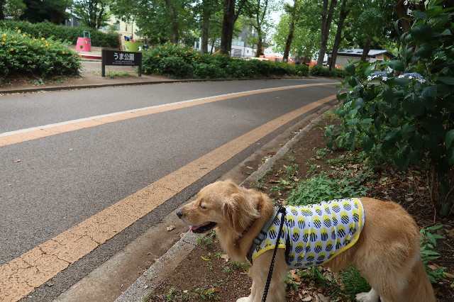 ファイル 7652-1.jpg