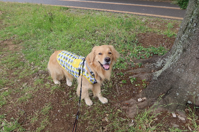 ファイル 7652-3.jpg