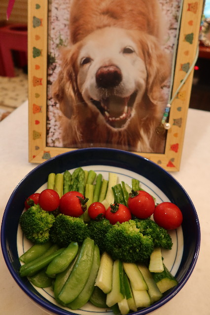 ファイル 7653-5.jpg