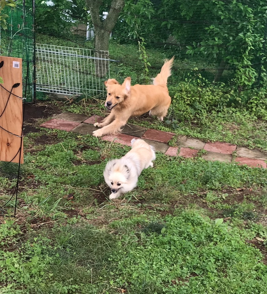 ファイル 7654-2.jpg