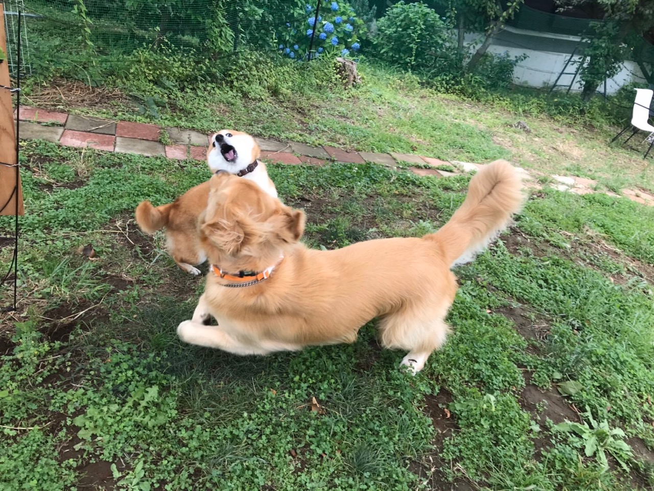 ファイル 7654-4.jpg