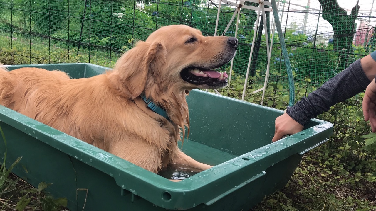 ファイル 7654-5.jpg