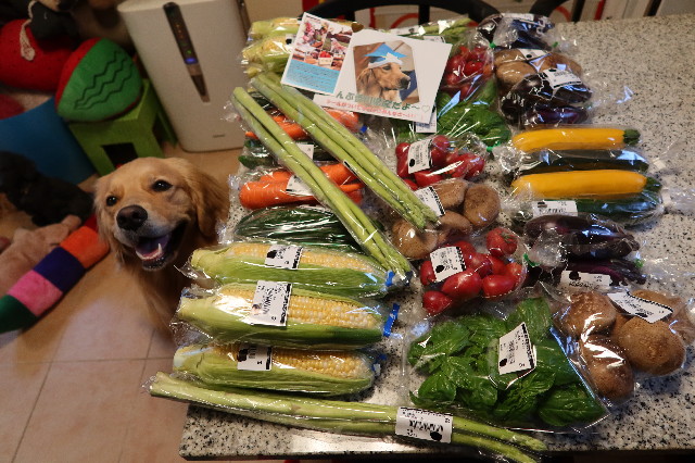 ファイル 7655-2.jpg