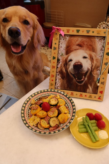 ファイル 7656-1.jpg