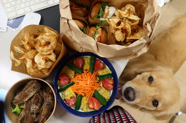 ファイル 7656-3.jpg