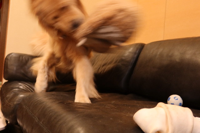 ファイル 7657-1.jpg